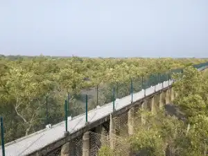 Sundarban Dobanki Watch Tower Image