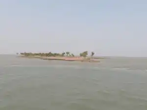 Sundarban Haliday Island wildlife Image