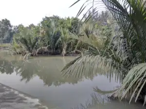 Sundarban Mangrove Interpretation Centre Image