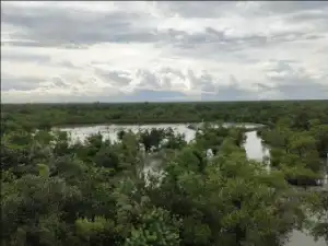 Sundarban Sajnekhali Wildlife Sanctuary Image