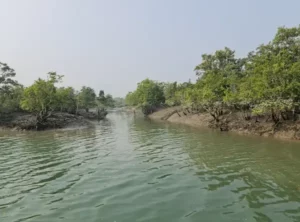 Sundarban National Park Image