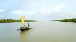 Sundarban tour offers the best places to go and explore