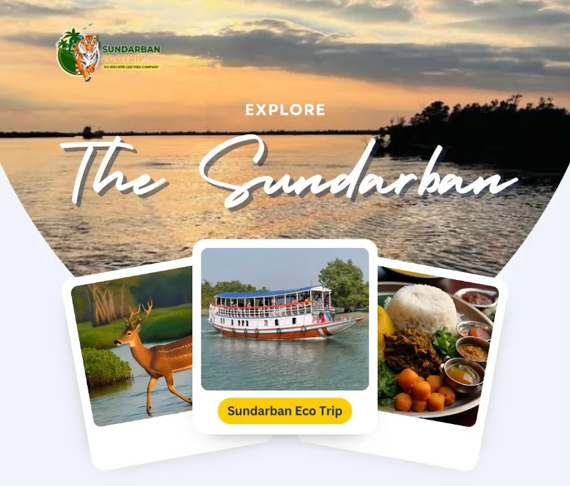 Sundarban 1 Day Tour package image