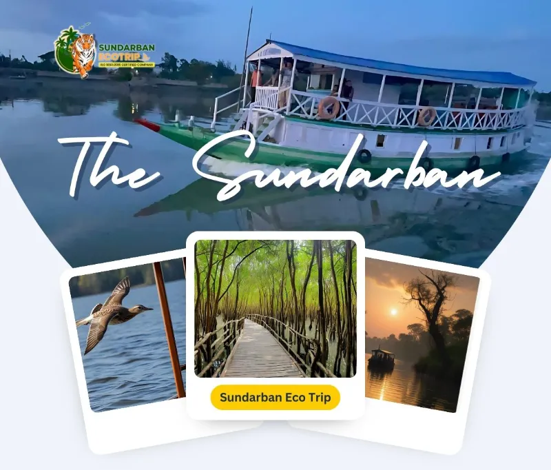 Sundarban 1 Night 2 Days Tour Package