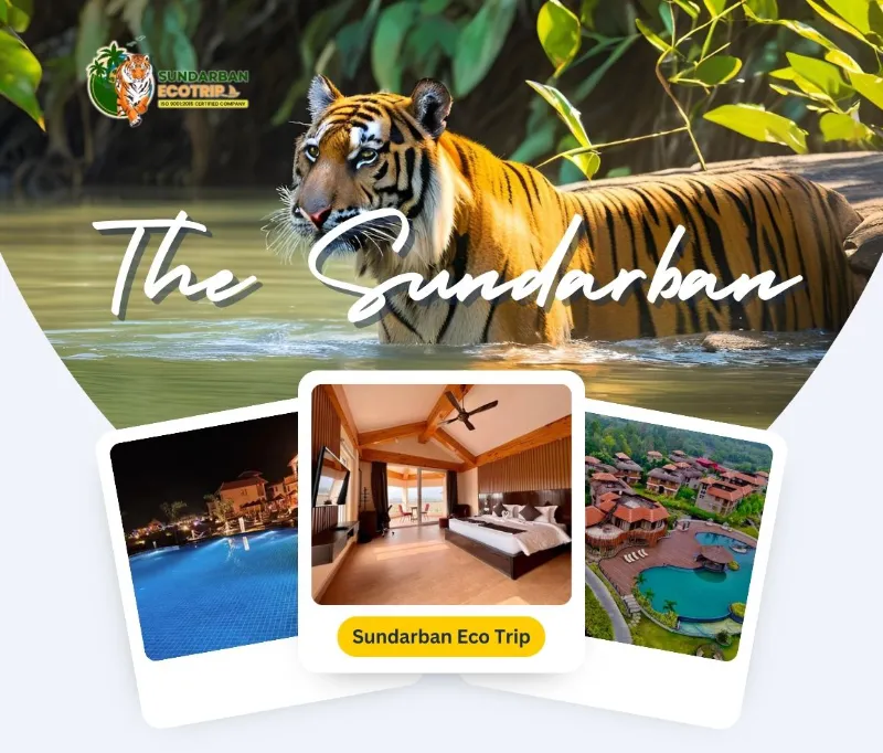 Sundarban 2 Nights 3 Days Tour Package