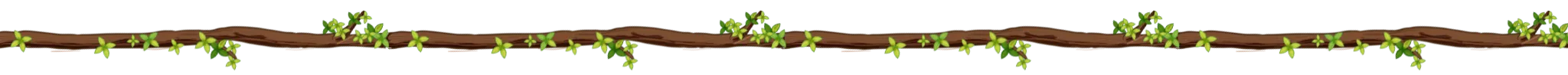 sundarban leaf shape