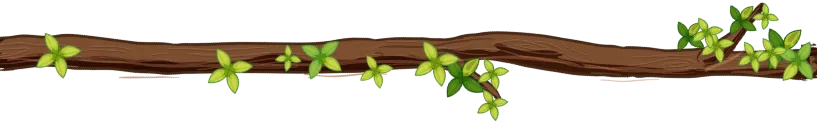 sundarban leaf shape 3