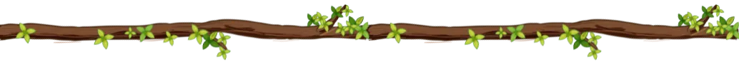 sundarban leaf shape 2