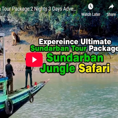 Sundarban tour youtube video