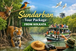 Sundarban Tour Package Kolkata: Travel Guide First Time Tourists