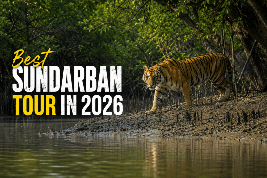 Best Sundarban Tour in 2026