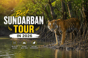 Best Sundarban Tour in 2026