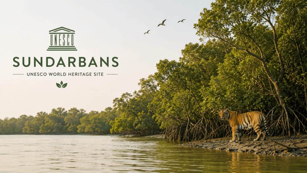 Exploring the UNESCO Sundarbans: A World Heritage Wonder
