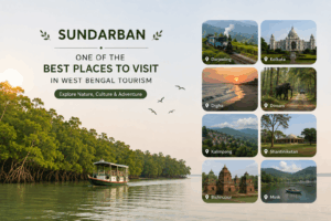 Sundarban: One of the Best Places to Visit in West Bengal Tourism