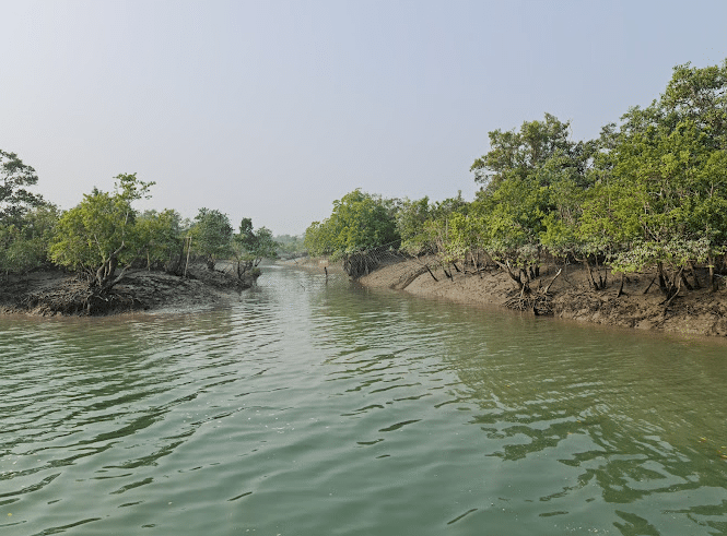 Sundarban National Park-Sundarban travel agency in kolkata
