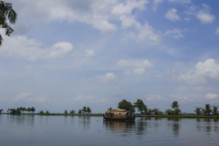 Boat safari-Sundarban launch tour